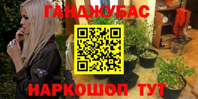 крисы Ачхой-Мартан