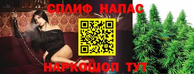 крисы Ачхой-Мартан