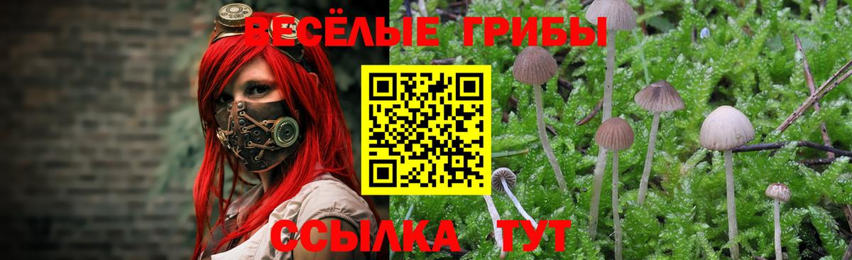 Иваново  Галлюциногенные грибы MAGIC MUSHROOMS  Вход с VPN 